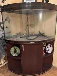 Продам угловой аквариум Jebo R480 290л с тумбой и оборудованием