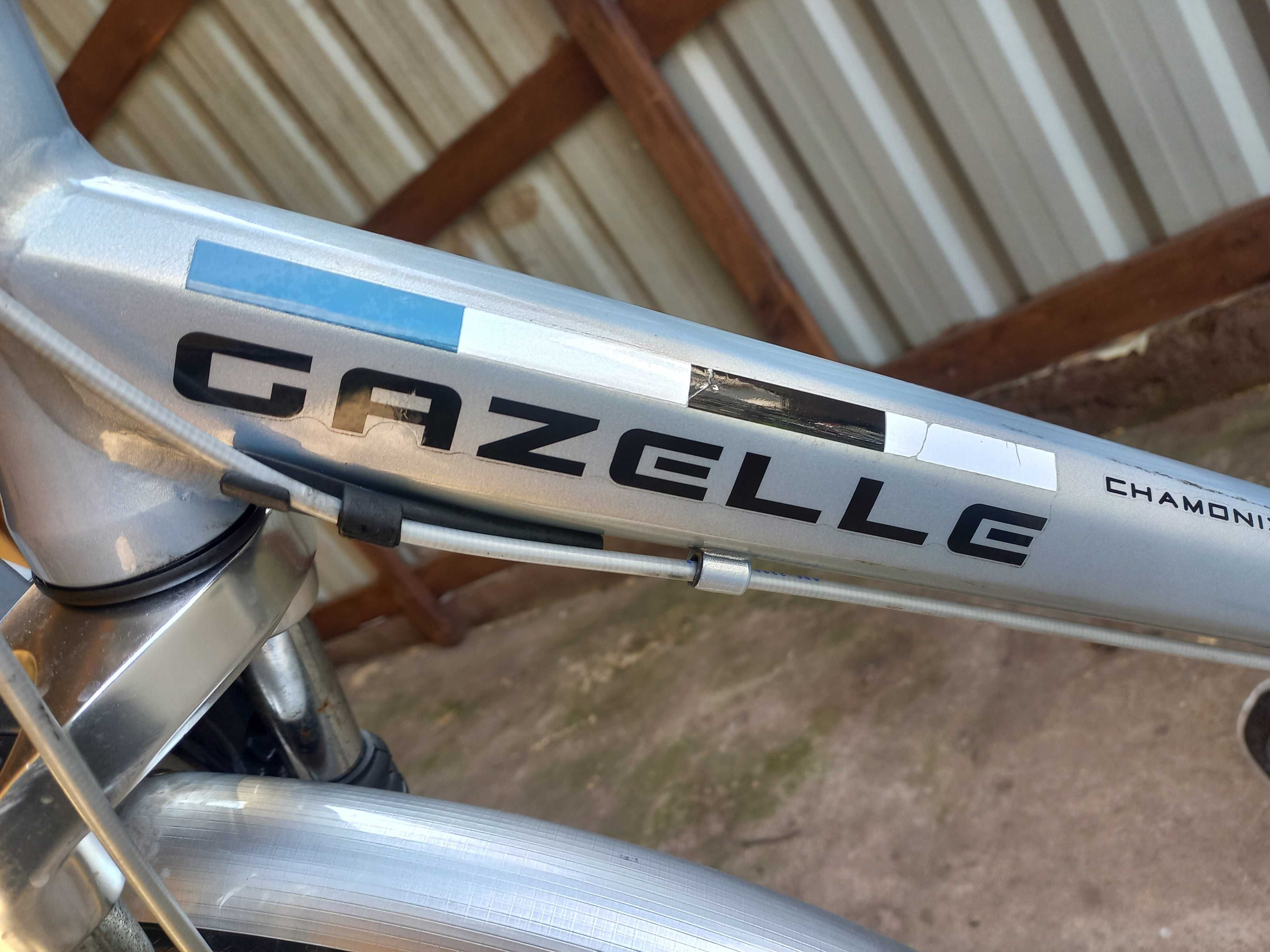 Rower męski Gazelle