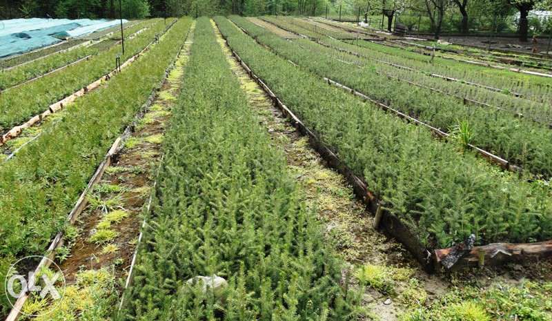 Ogrodzenie z siatki leśnej tymczasowe budowlane FAKTURA VAT od 23 zł