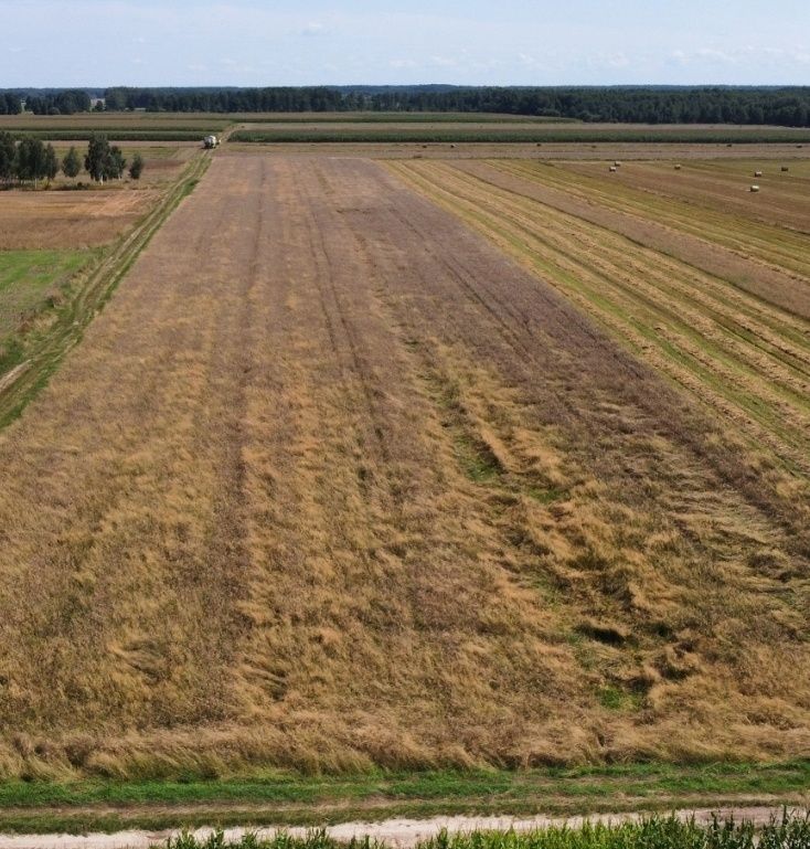 Dron dji, zdjecia