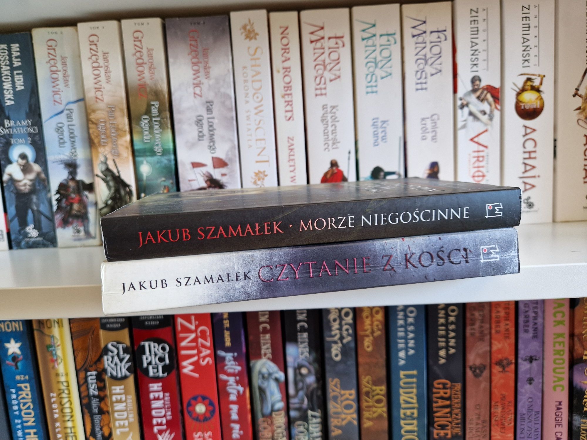 Jakub Szamałek: Morze niegościnne, Czytanie z kości