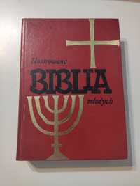 Ilustrowana Biblia młodych