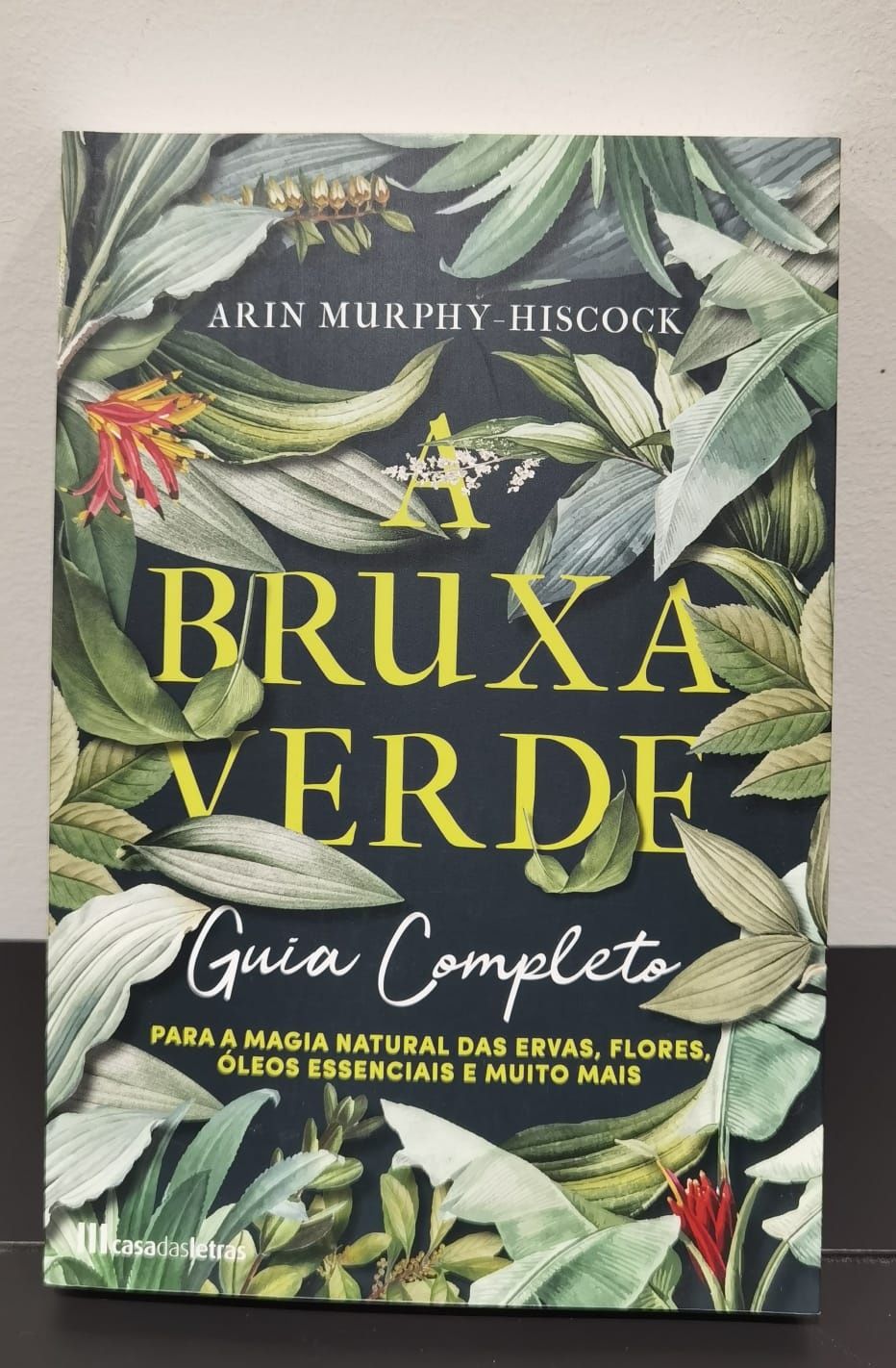 A Bruxa Verde (NOVO)