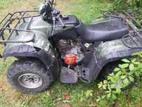 Quad 250 2x4 2006