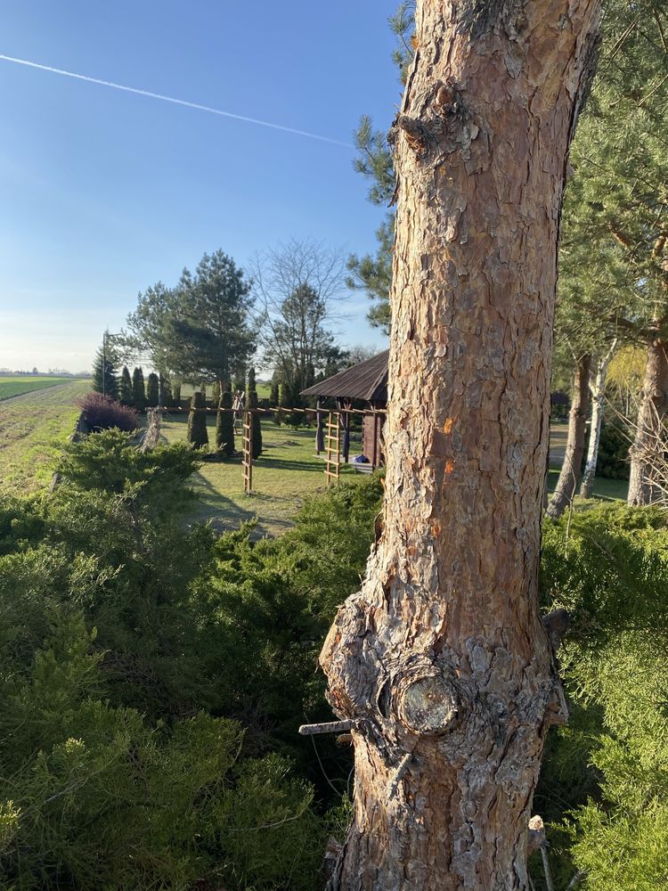 Domek wypoczynkowy,Noclegi Bałtów - Agroturystyka pod Sosnami