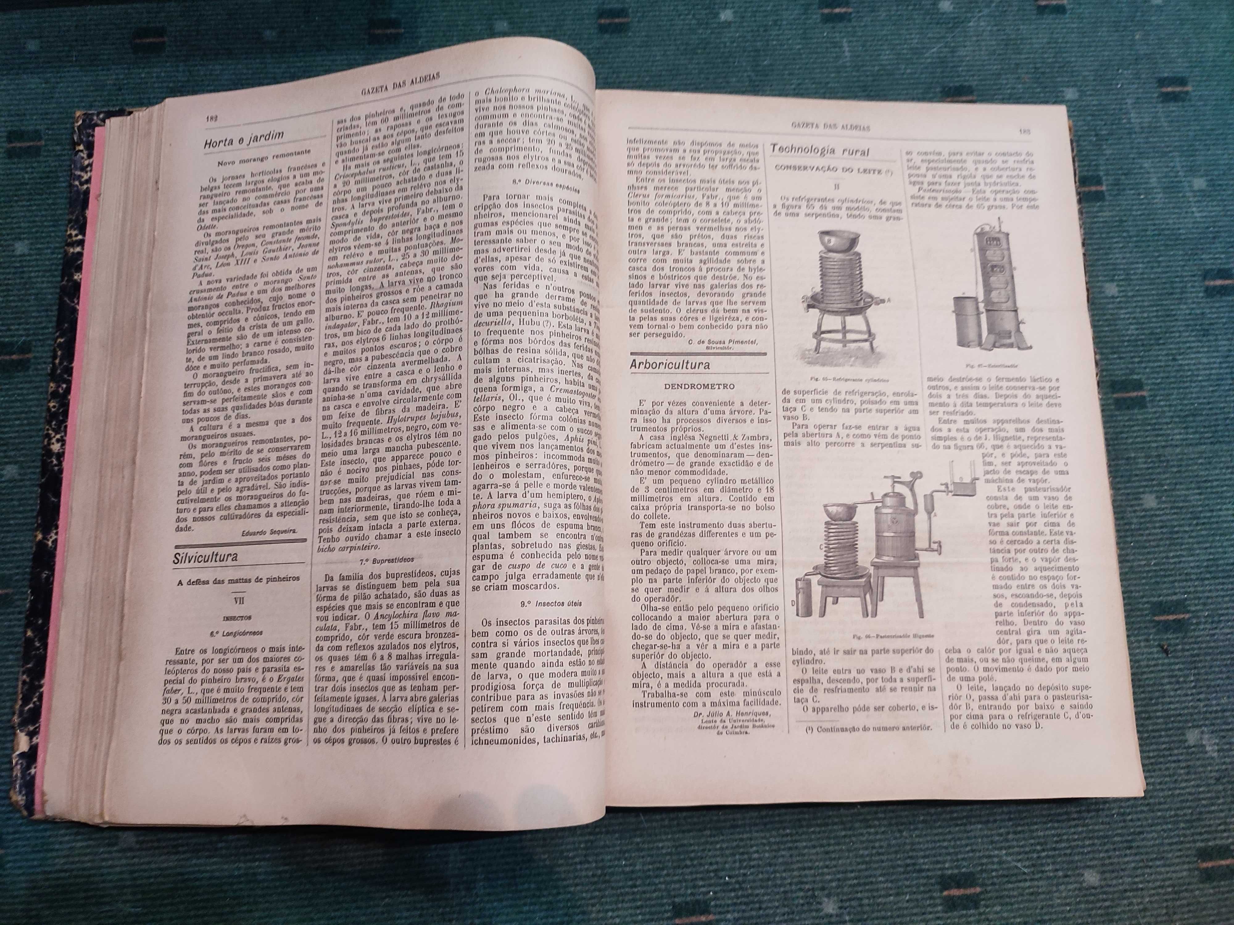Gazeta das Aldeias - Ano de 1903 - 51 revistas encadernadas