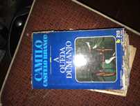 livro a queda dum anjo