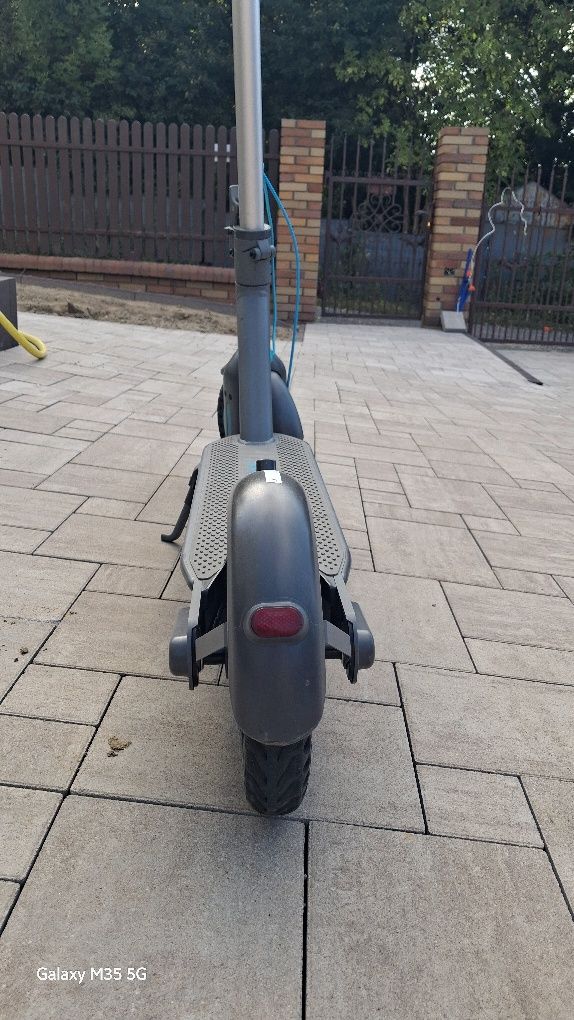 Motus scooty 10 2022