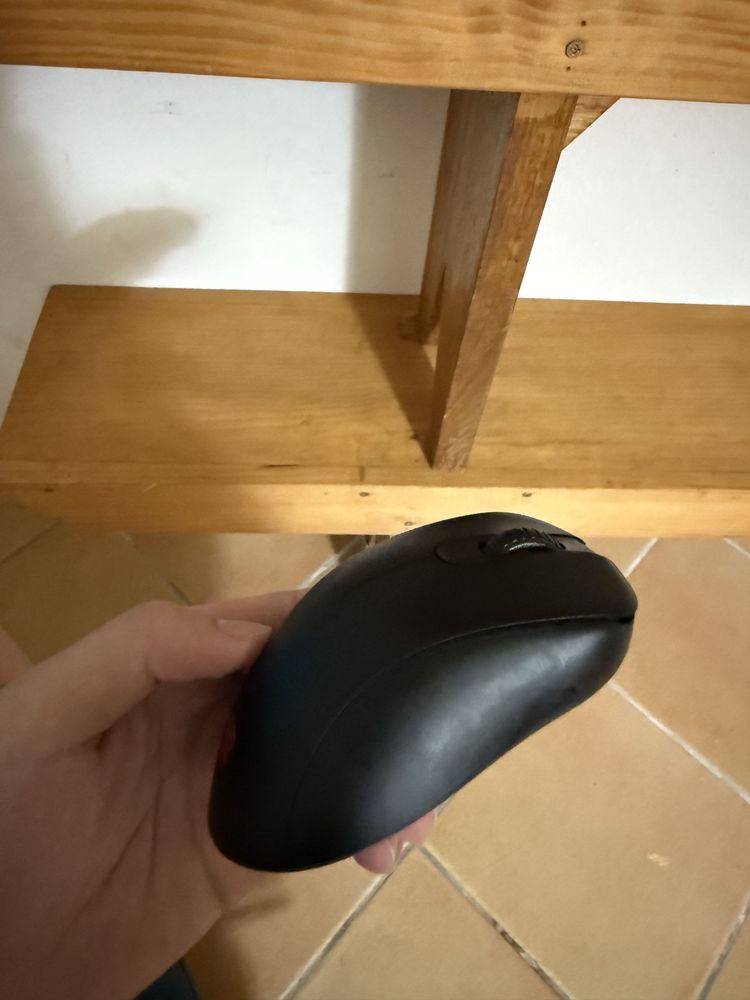 Zowie EC2-DW **NOVO**