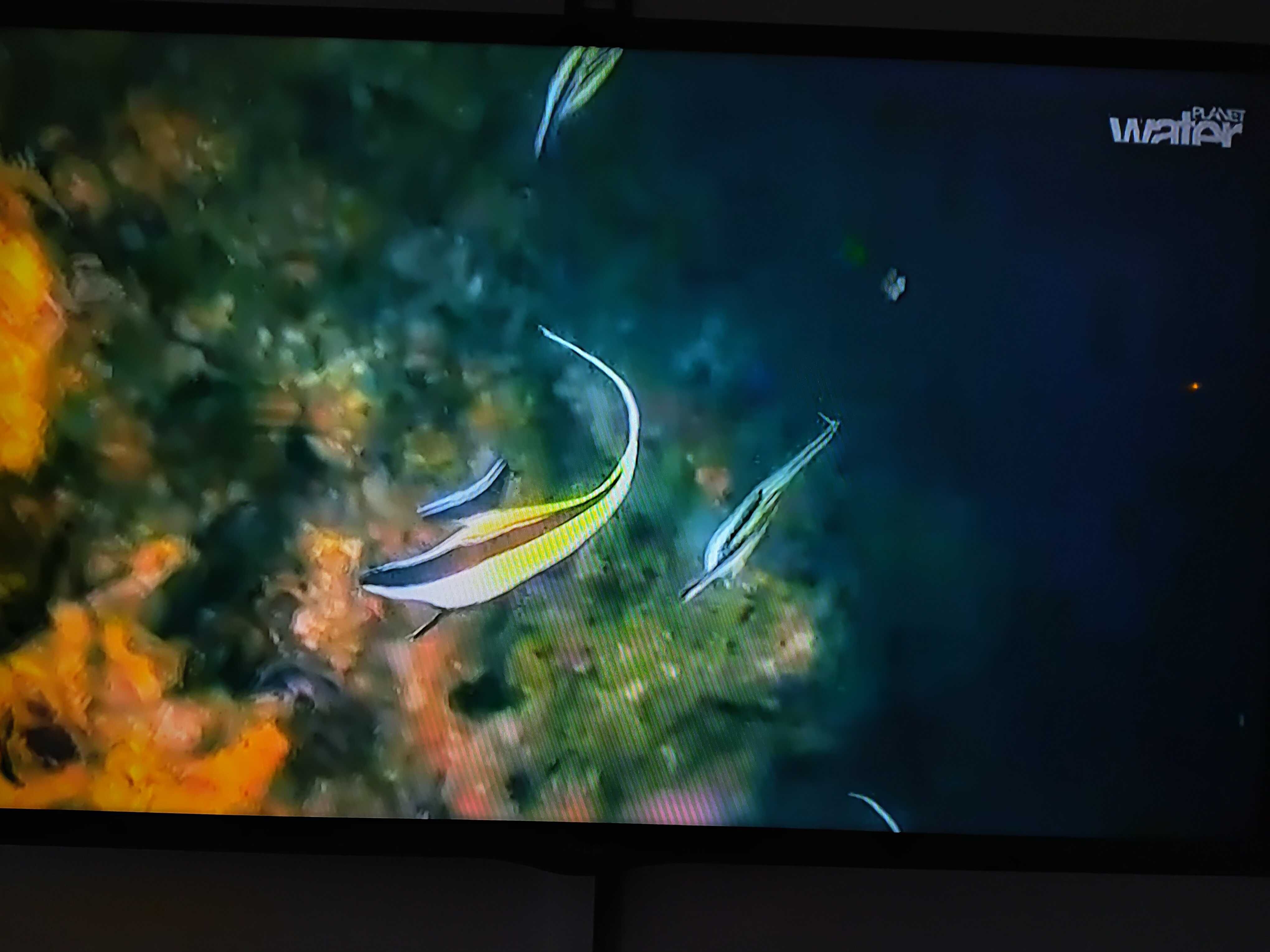 TV LG 42" plus przystawka XIAOMI