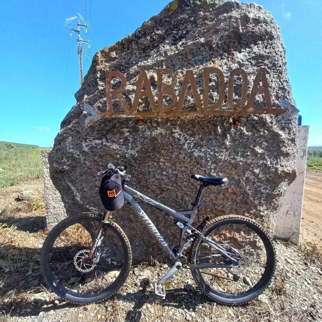 Bicicleta specialized