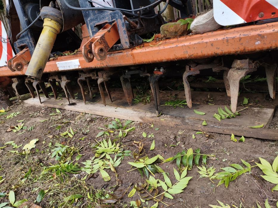 Brona wirowa aktywna Maschio Dm 3000 3 m wał guttlera hydropak