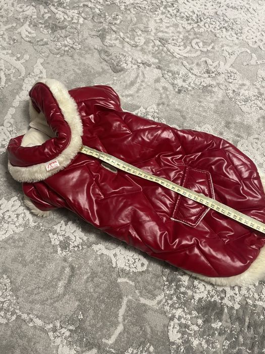 Ubranko dla psa kurteczka