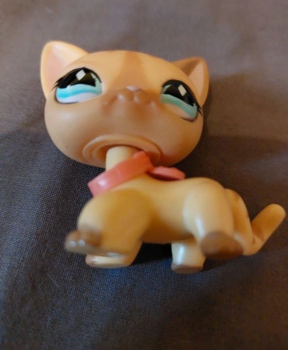 Figurka littlest pet shop shorthair #886