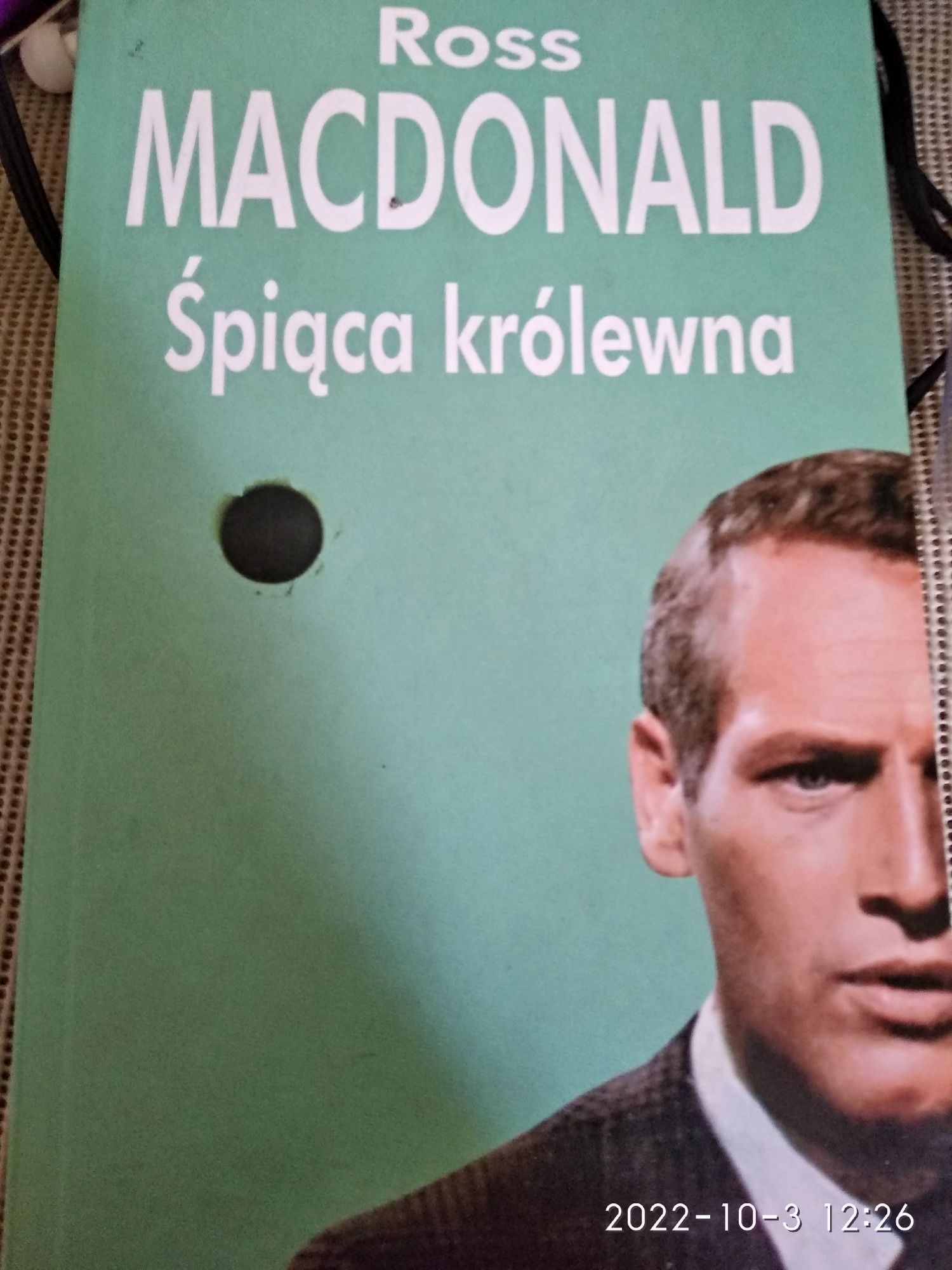 Śpiąca królewna Ross MacDonald