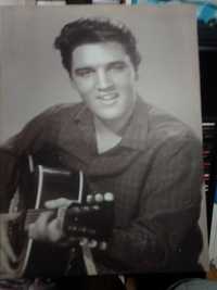 Elvis Presley quadro