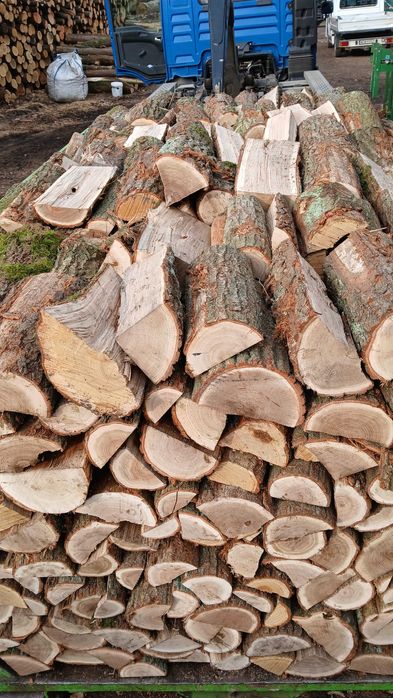 DĄB drewno kominkowe opałowe 30cm 40cm 50cm