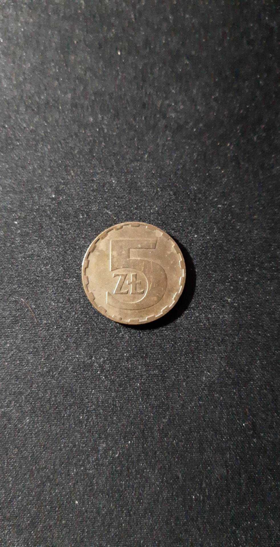 Moneta 5 złotych z 1984 roku