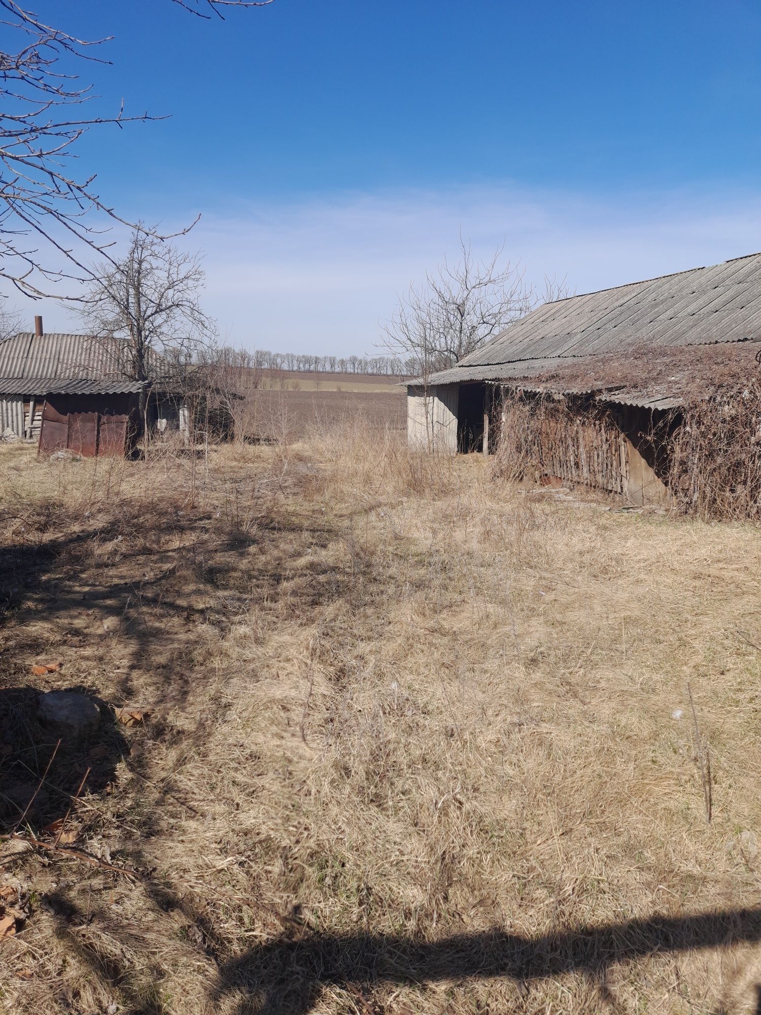 ПРОДАМ ДОМ (Савранский район)