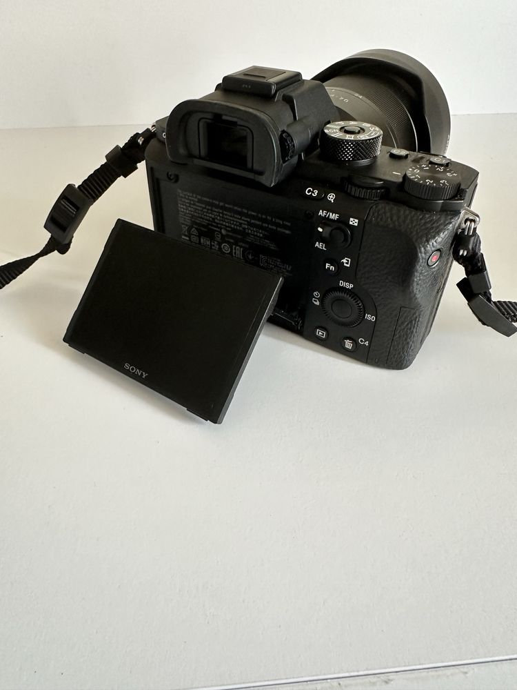 Sony a7R ll, FE 24-70 mm f/4, идеал пробег 3722