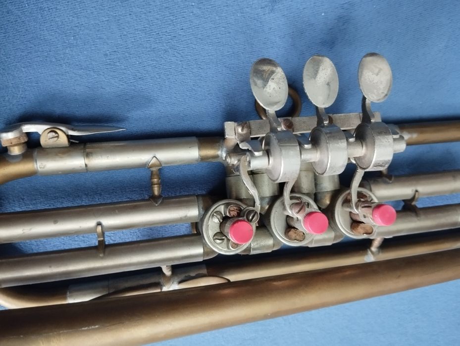 Trąbka skrzydłówka. Vintage