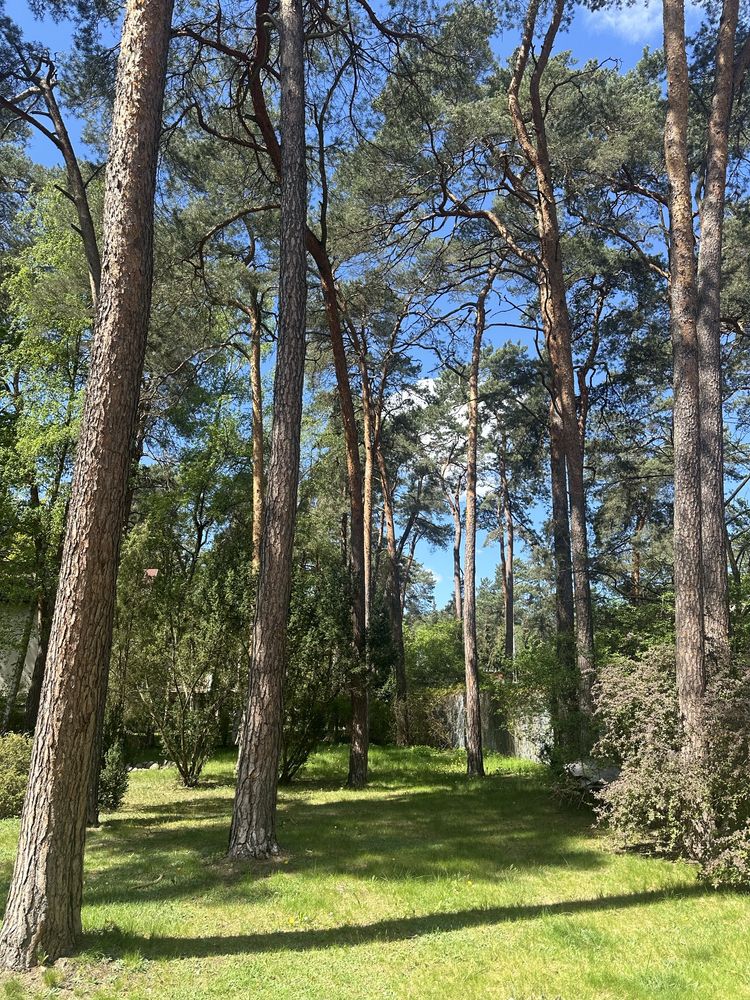 Sprzedam bezposrednio strefa A konstancin jeziorna krolewska gora las