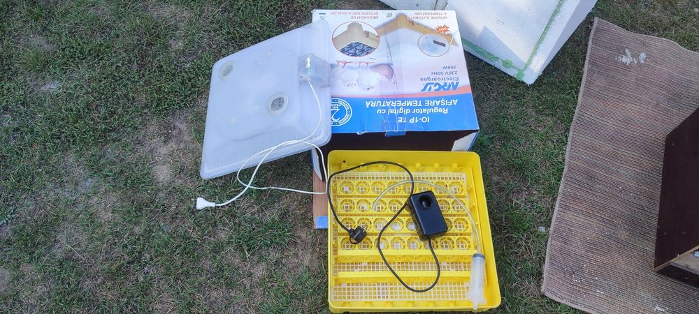 Inkubator do jaj odchowalnik lampy
