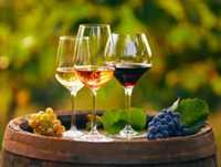 Найкращі сорти винного винограду саджанці