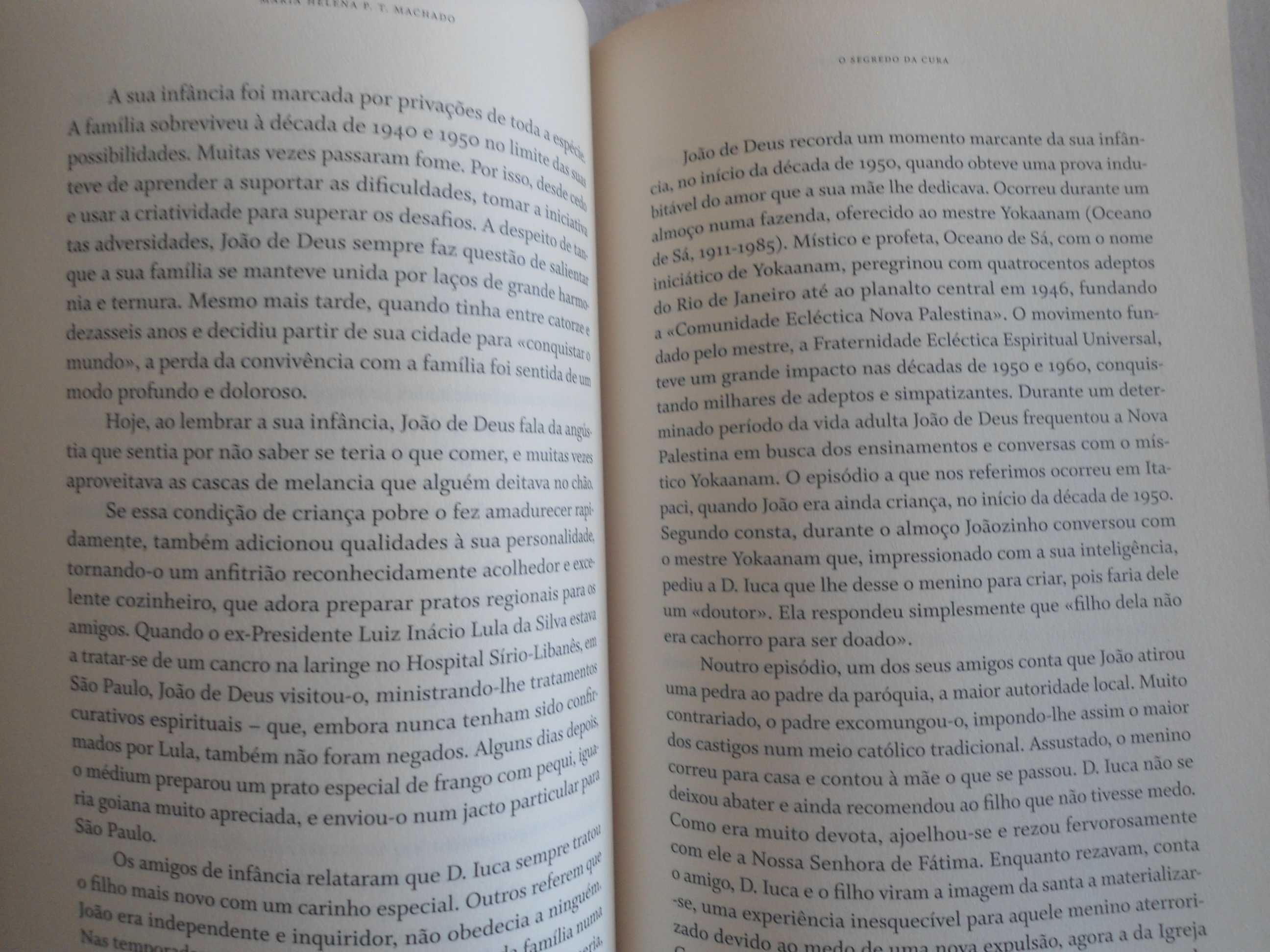 O Segredo da Cura por Maria Helena P T Machado