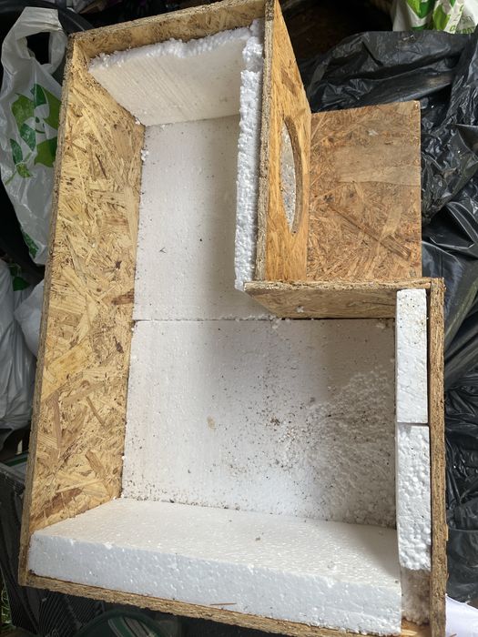 Kocia budka - zimowanie