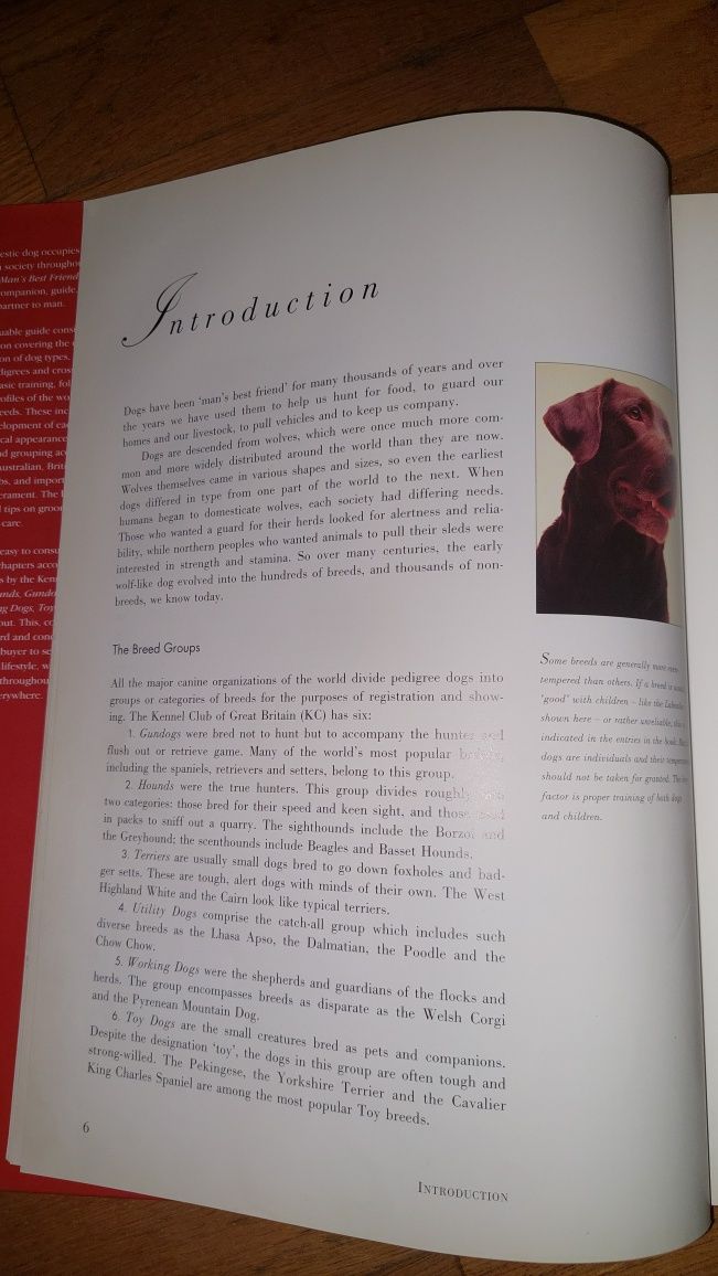 Enciclopédia Hamlyn all colour guide to dogs