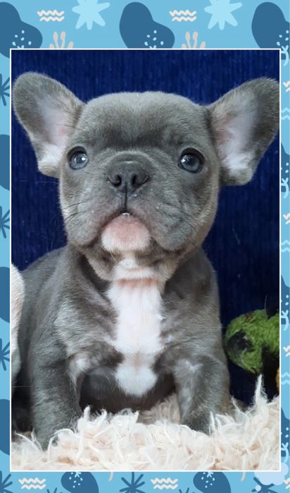 Голубое счастье для вас! Мальчик!