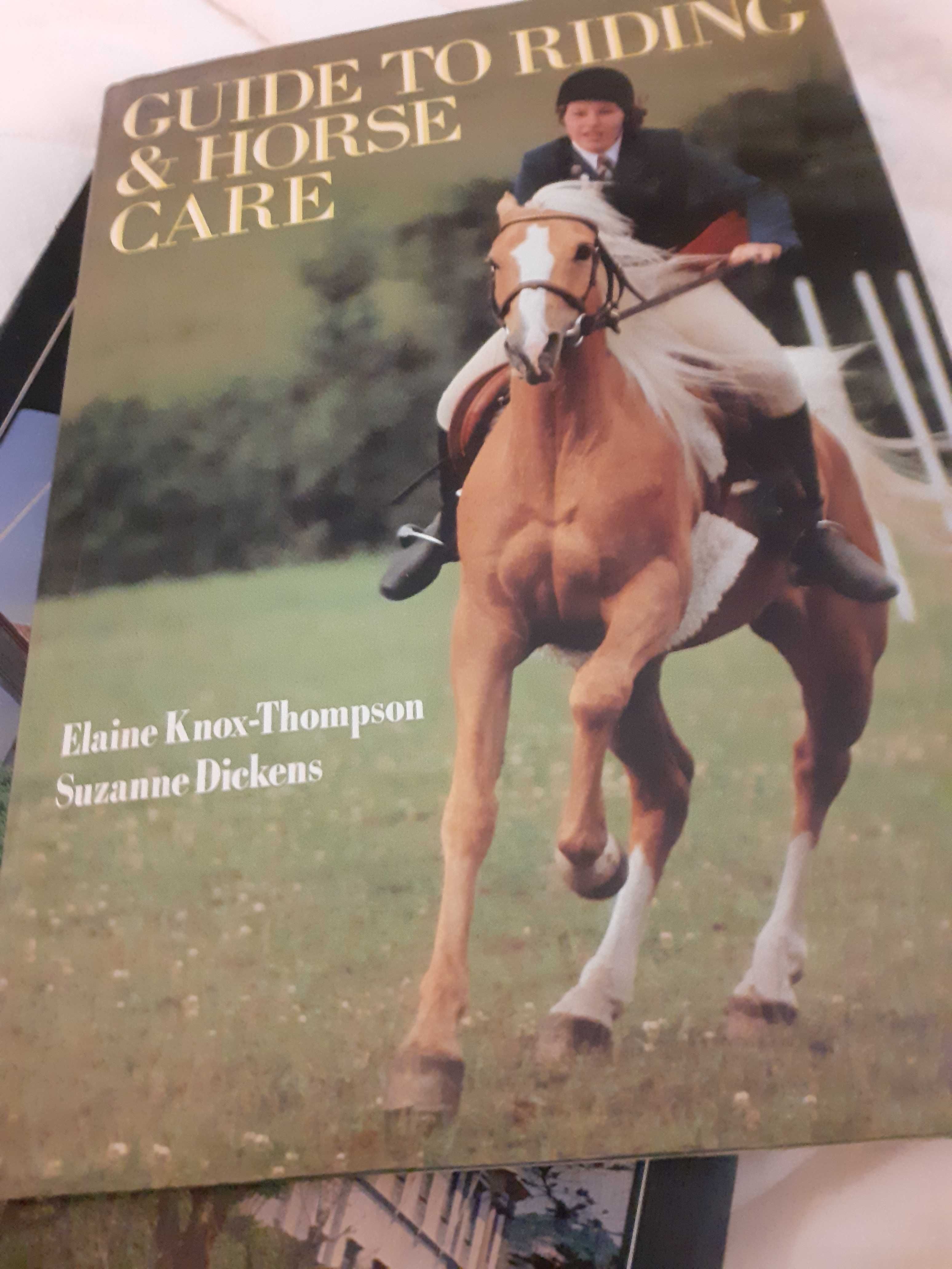 Guide To Riding & Horse Care