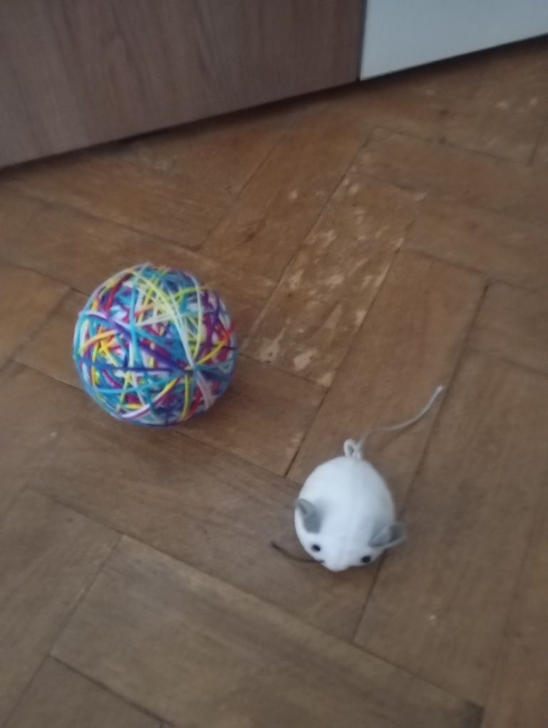 Brinquedos para animais