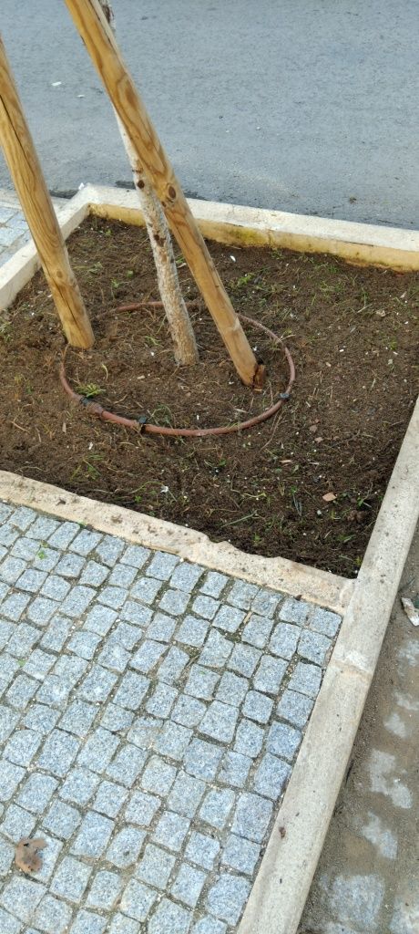 Limpeza de terrenos e pátios