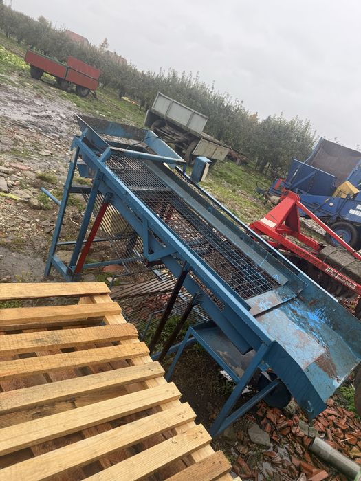 Sortownik do ziemniaków