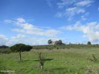 Quinta, Venda