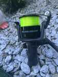 Jaxon magnet carp frm 600
