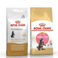 Maine Coon Kitten 3,2kg Royal Canin 8*400g