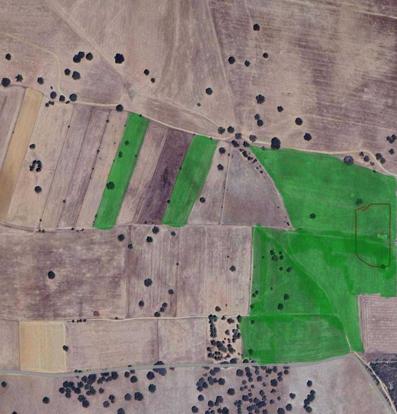 Quinta a venda em Terrugem/Elvas – 16 Hectares com Casa