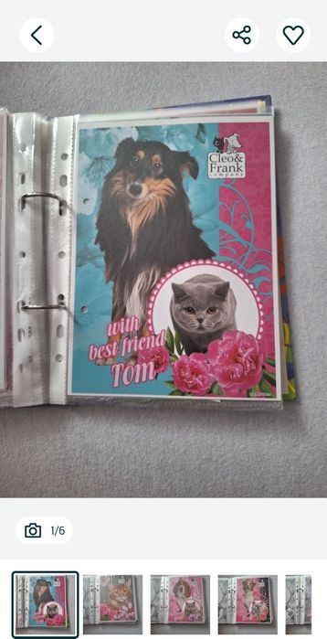 Karteczki do segregatora