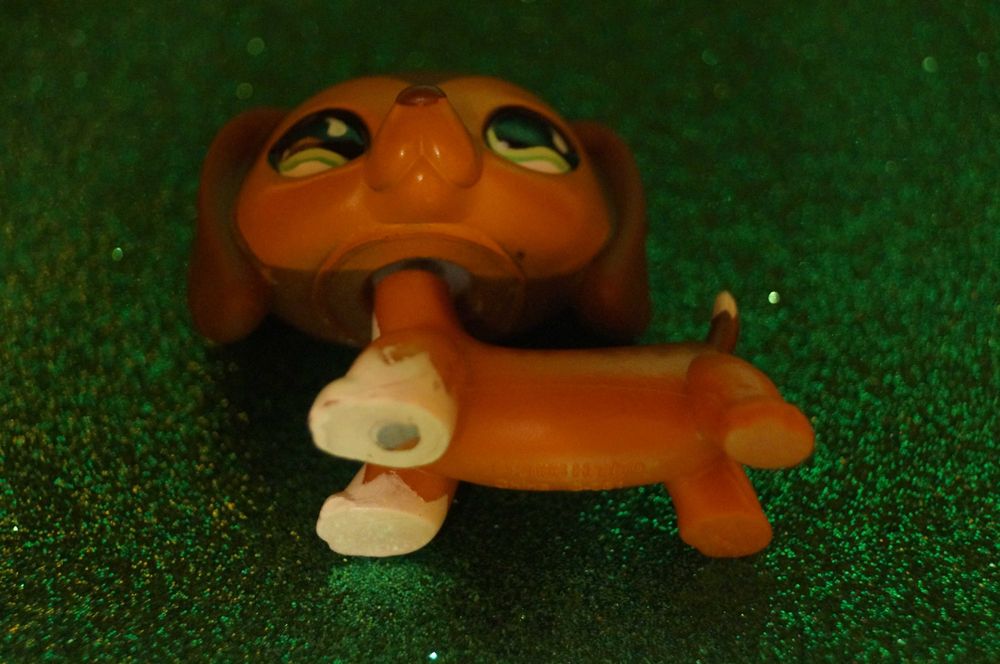 Littlest Pet Shop LPS jamnik #675 oryginalny pop Savannah