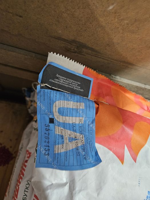 Посівне насіння соняшника Сади України