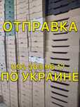 Евротара евро тара ящик для клубники малины