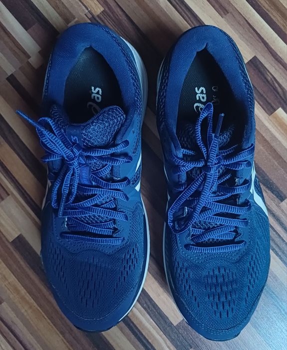 Buty do biegania męskie Asics Gel Windhawk