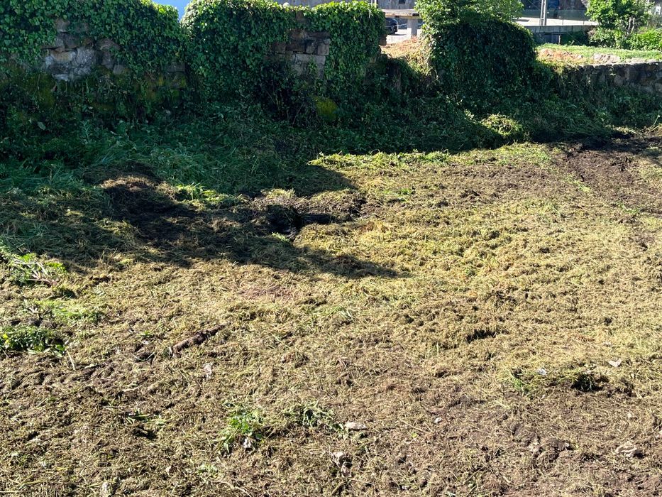 Limpeza de terrenos/ serviços agrícolas, jardinagem