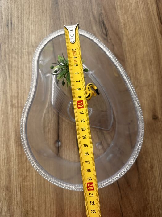 Акваріум, тераріум