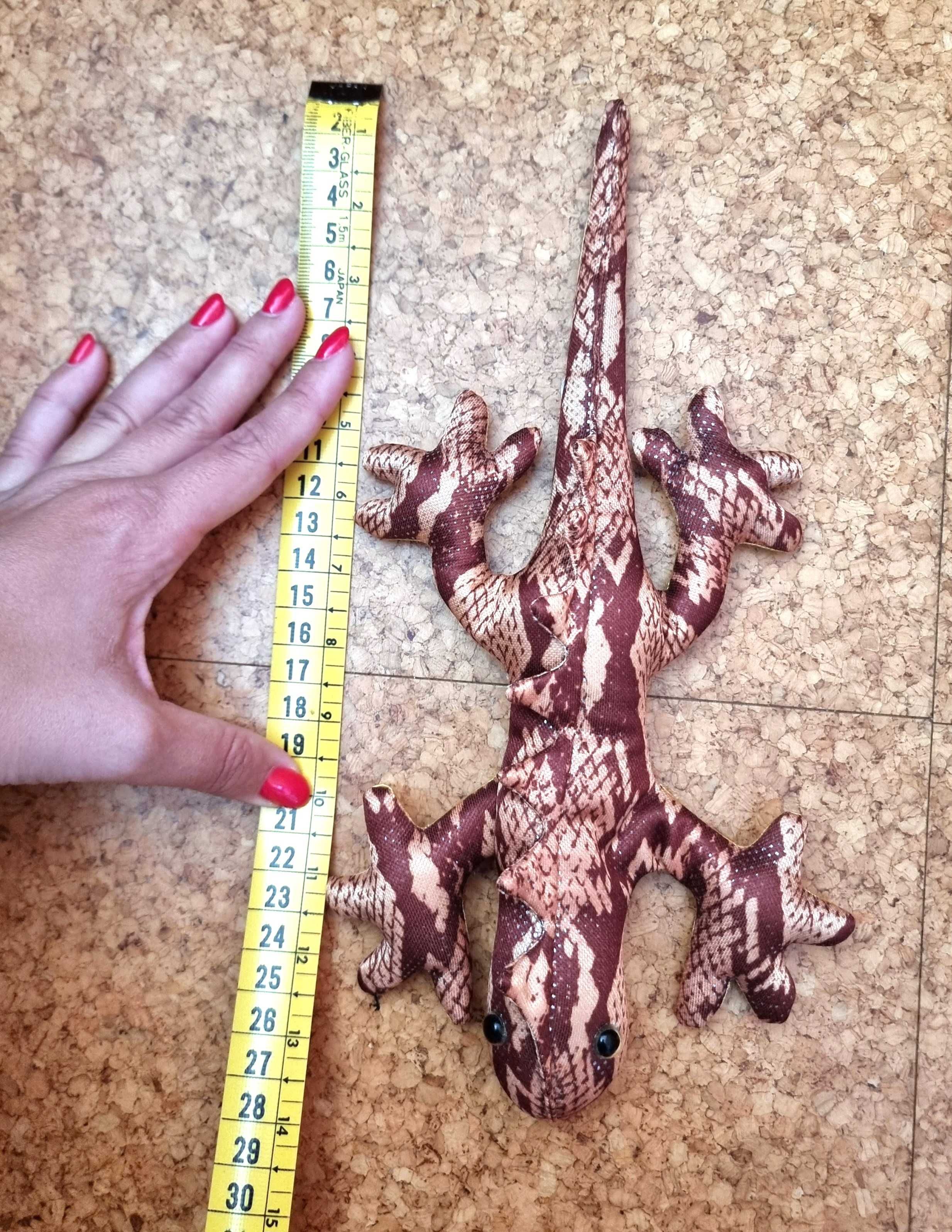 Salamandra em tons de castanho com cerca de 27 cms de comprimento