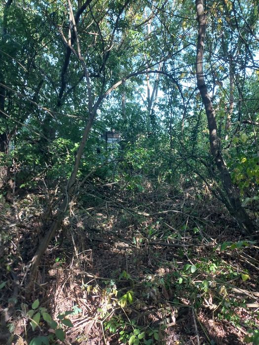 Земельна ділянка