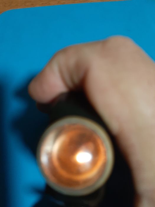 Фонарик жучок,  рідкісний.